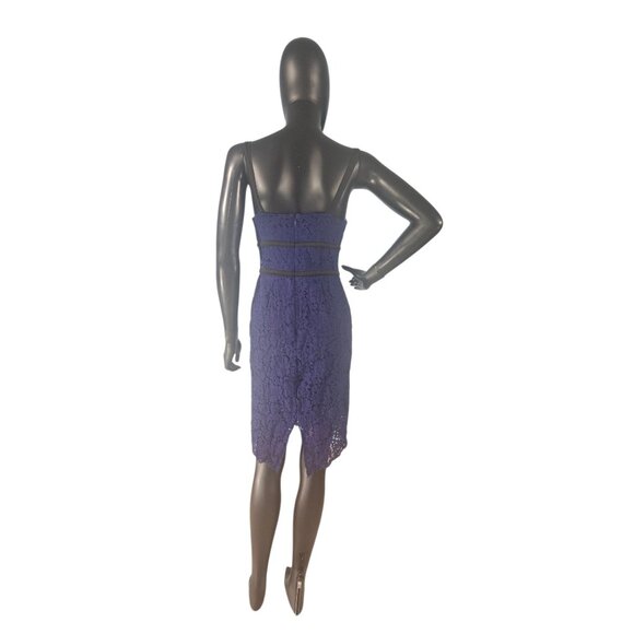 Blue Lace/Black Accent Sheath Dress - Express - Picture 4 of 10